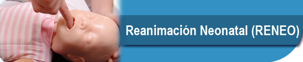 Curso de Reanimaci�n Neonatal (RENEO)